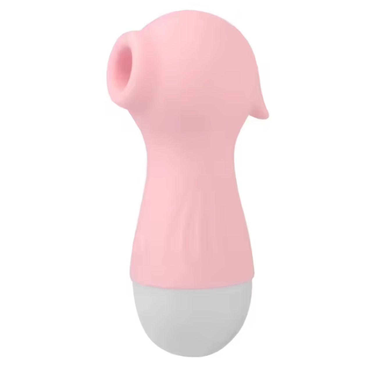 סוסון ים יונק