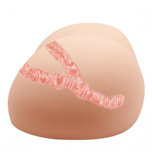 Vagina & Ass