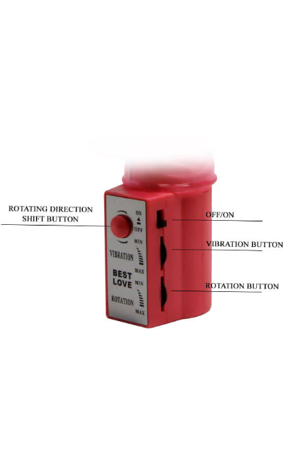 ציפור אהבה מסתובבת